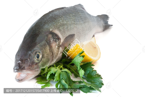 食物