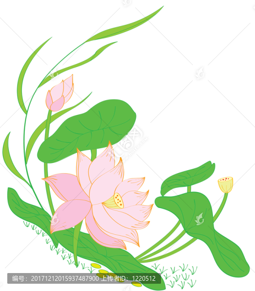 美麗的