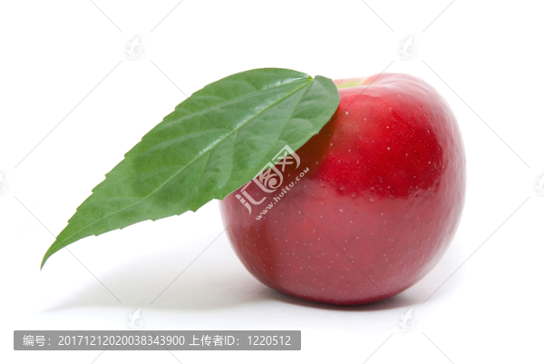 緊密的