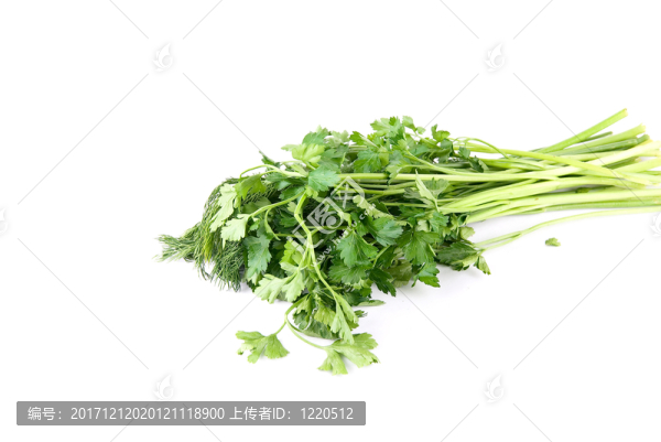 食物