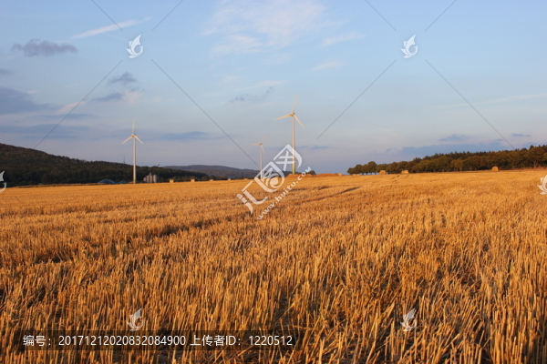 風(fēng)力發(fā)動(dòng)機(jī)