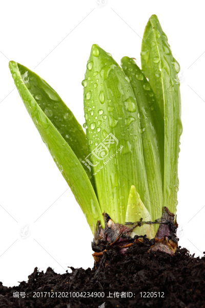 生活
