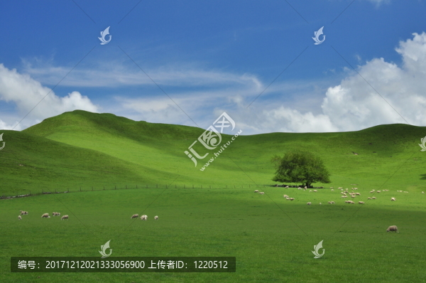 孤獨(dú)