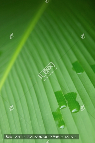 緊密的