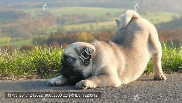 和我一起玩
