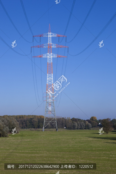 電線桿