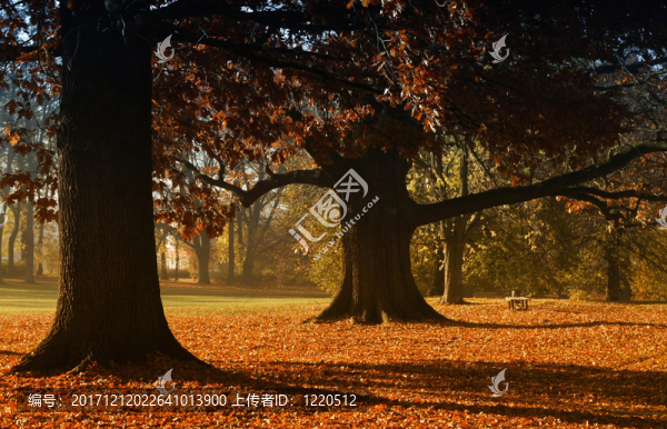 巨人在gothaer,schlosspark