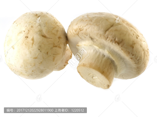 食物