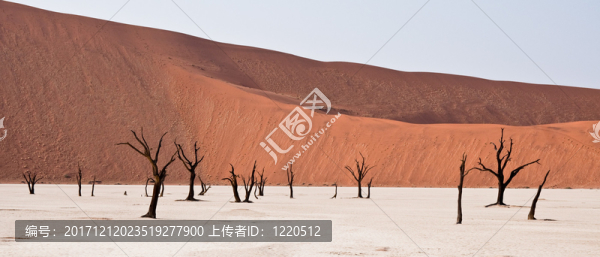死vlei,,-,納米比亞
