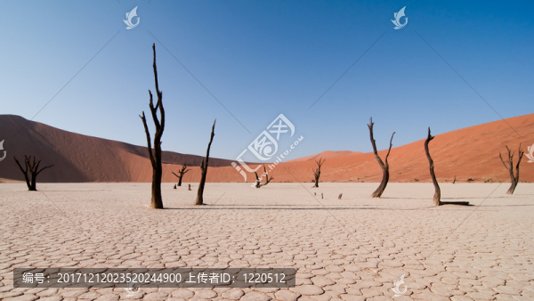 死vlei,,-,納米比亞