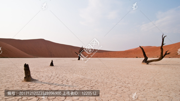 死vlei,,-,納米比亞