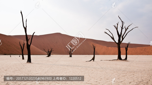死vlei,,-,納米比亞