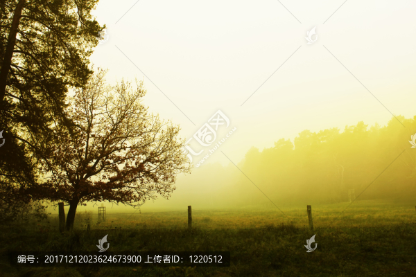 國(guó)際航空運(yùn)輸協(xié)會(huì)外國(guó)會(huì)員公司組