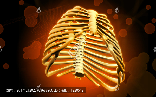教育