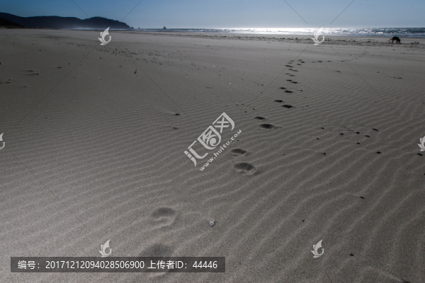 俄勒岡海岸