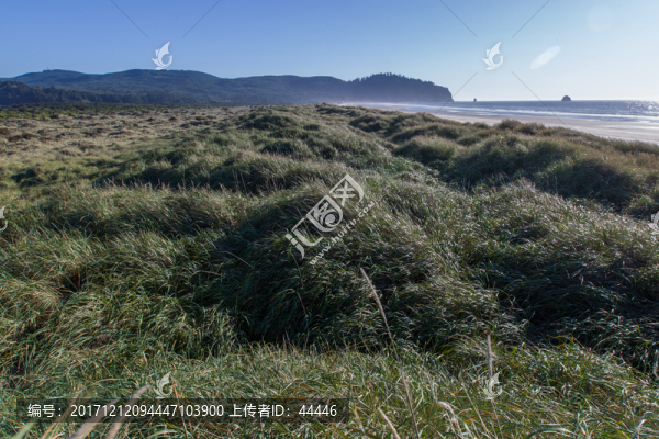 俄勒岡海岸