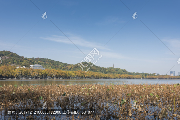 杭州西湖保俶塔
