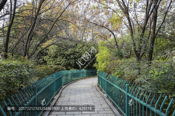 公園小徑