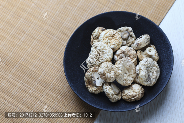 野生圓菇