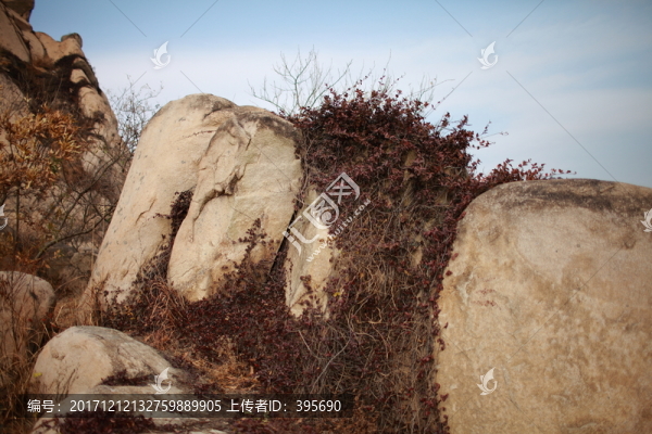 青島浮山