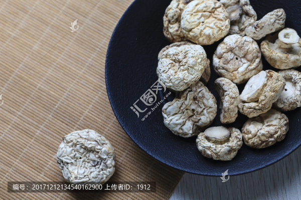 野生圓菇