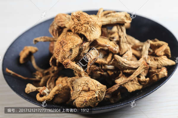 野生蘑菇