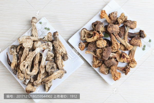 野生松茸