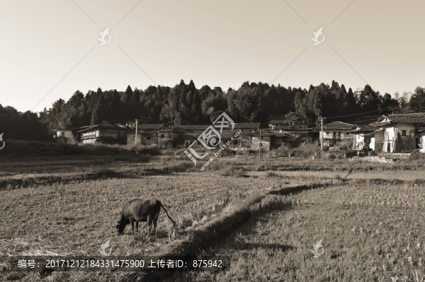 農(nóng)村老照片
