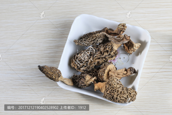 羊肚菌