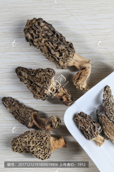 羊肚菌