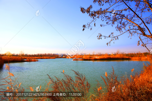 冬天湖泊