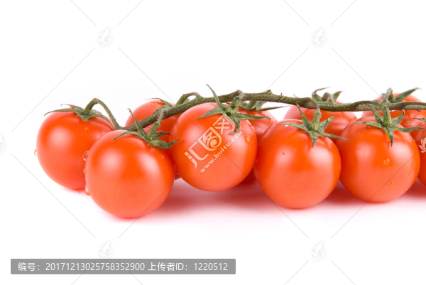 食物