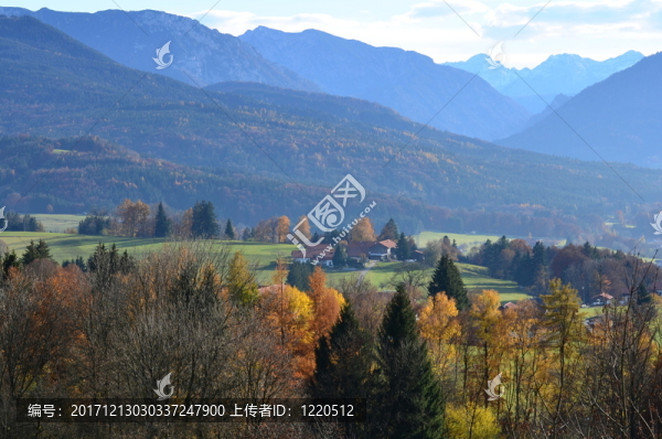 山