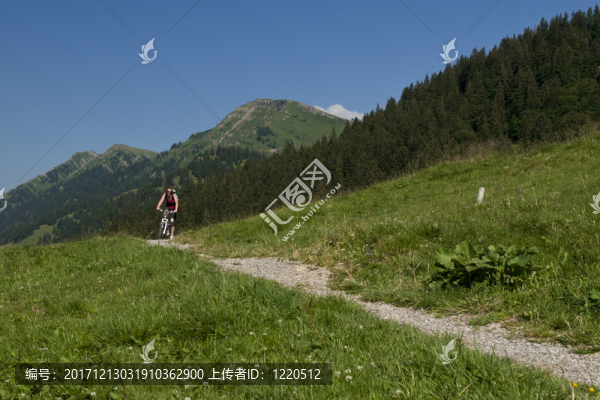 mountainbike,im,allg？u