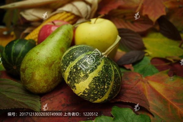 秋天的果實(shí)