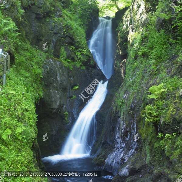 風(fēng)景
