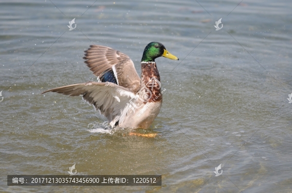 使用Aquafit