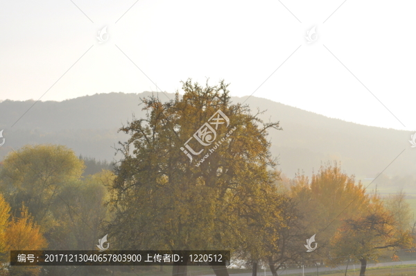 國際航空運(yùn)輸協(xié)會外國會員公司組