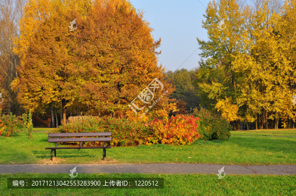 在公園里的長凳