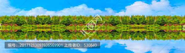 樹林全景圖,大畫幅
