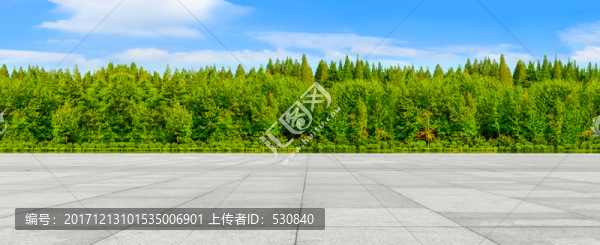 綠樹林全景圖片大畫幅