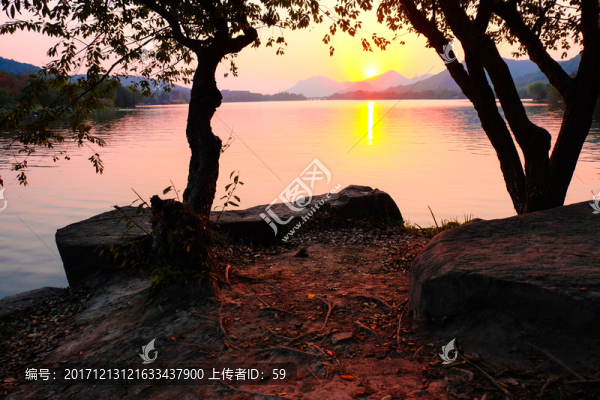 夕陽