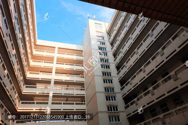 校園風(fēng)光