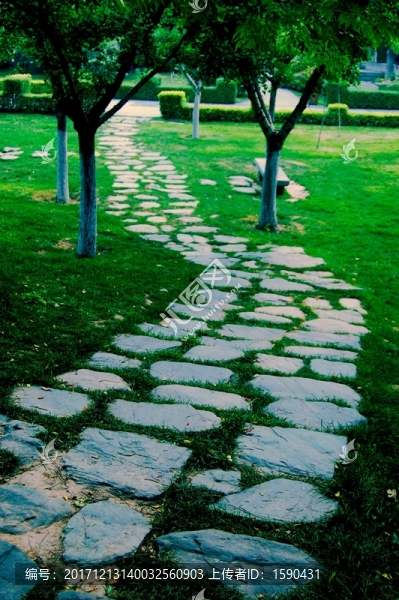 公園小路