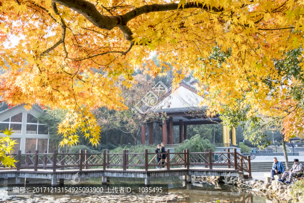 公園秋景