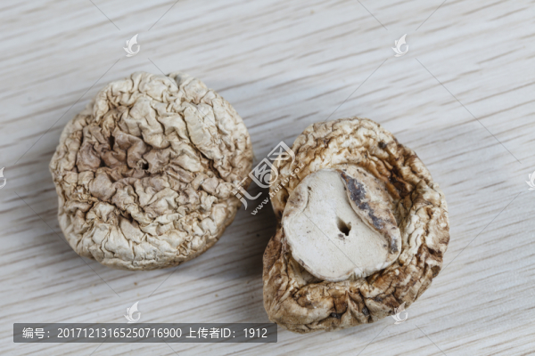 野生圓菇