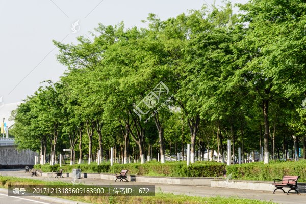 奧體中心園林綠化