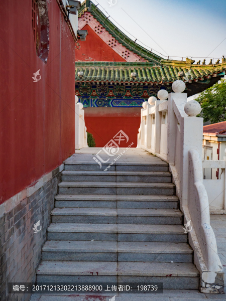 菏澤曹州牡丹園