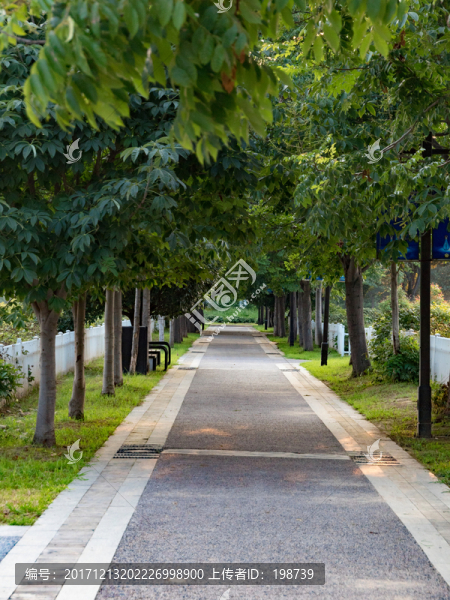 菏澤曹州牡丹園