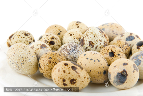 食物